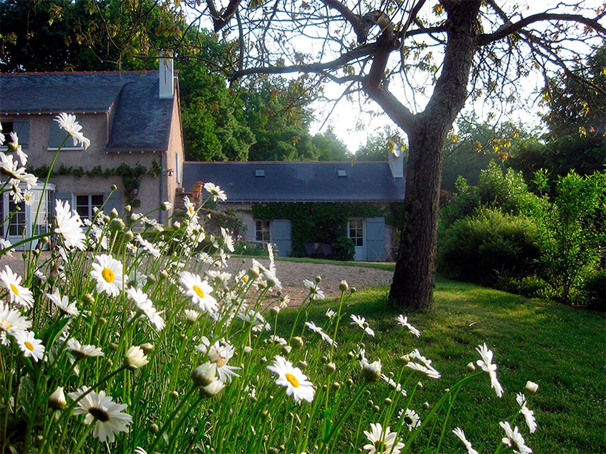 Bed and Breakfast La Butte De Gohier Blaison Zewnętrze zdjęcie